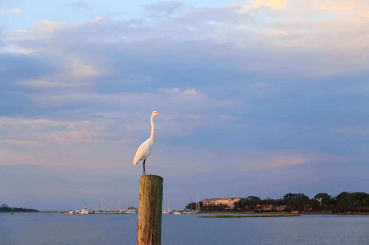 Sea Side Villas Hilton Head Island Bagian luar foto